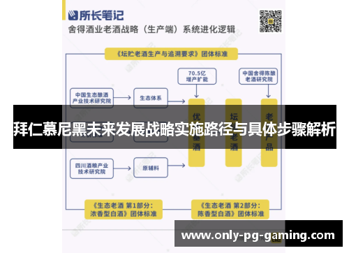 拜仁慕尼黑未来发展战略实施路径与具体步骤解析